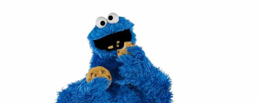 Welches sind gute WordPress Plugins für die Cookie-Hinweise?