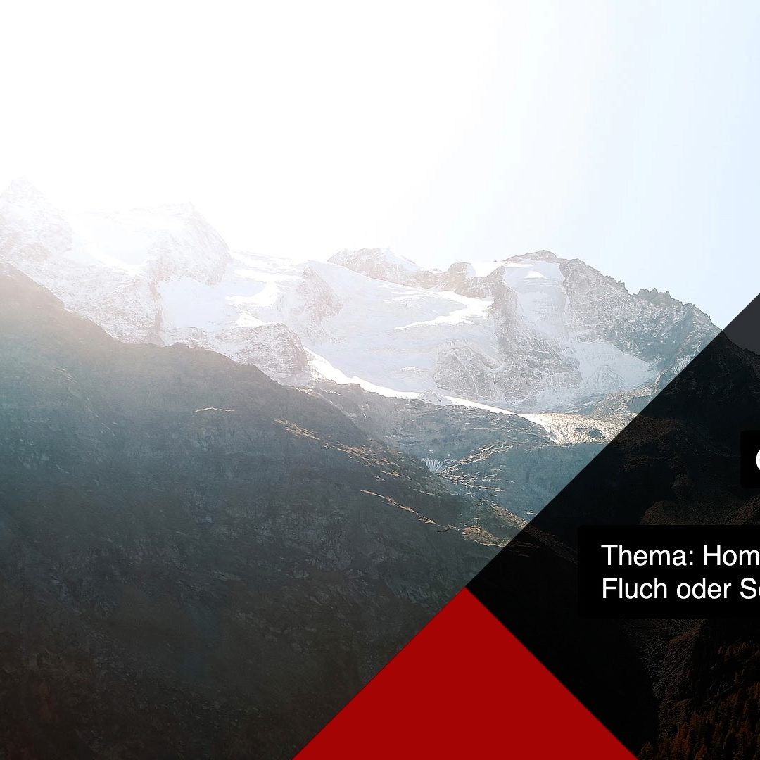 Arbeiten im Home Office ein Fluch oder Segen? Wie organisiert man das? Livestream