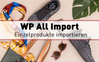 WP All Import – Einzelprodukte importieren