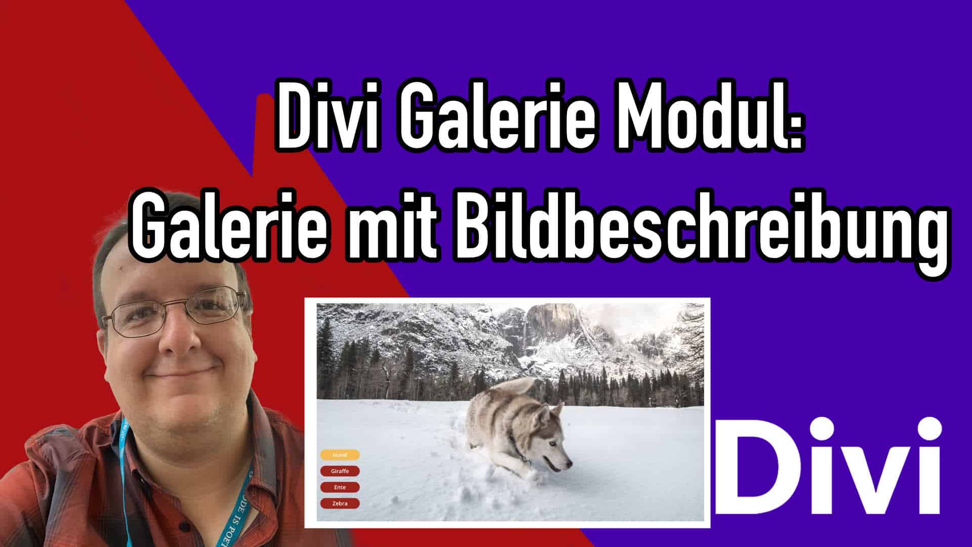 DIVI: Galerie mit Text Navigation