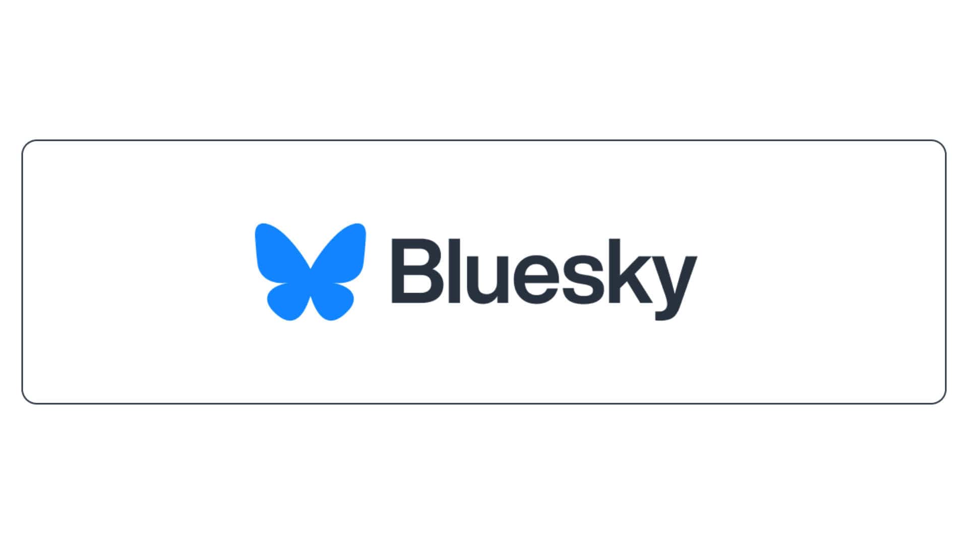 Neues Update für WordPress Plugin Bluesky Feed Integrator