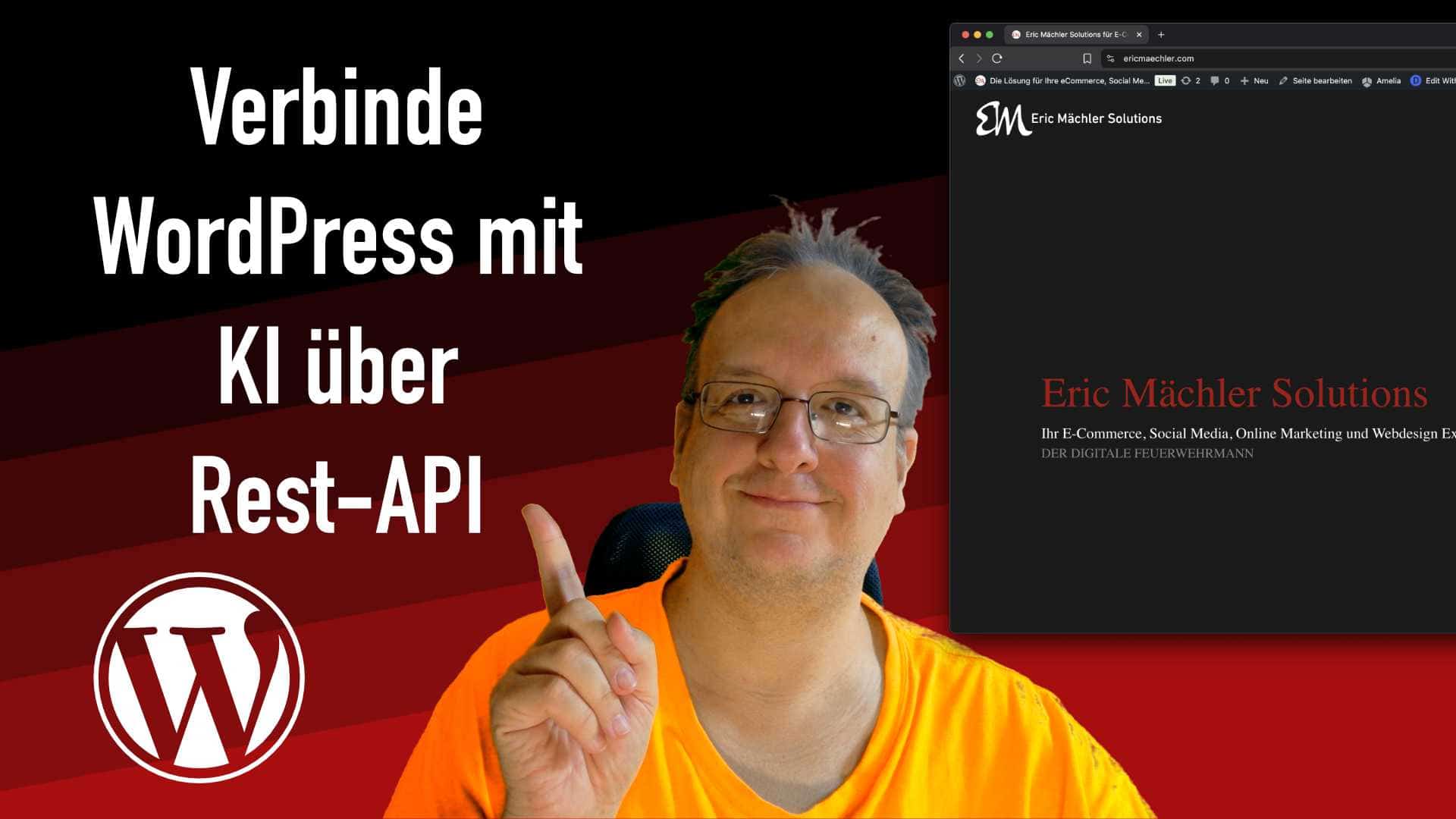 ki-wordpress-rest-api